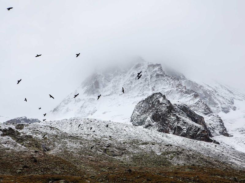 sudoku evening relaxation screenshot 6